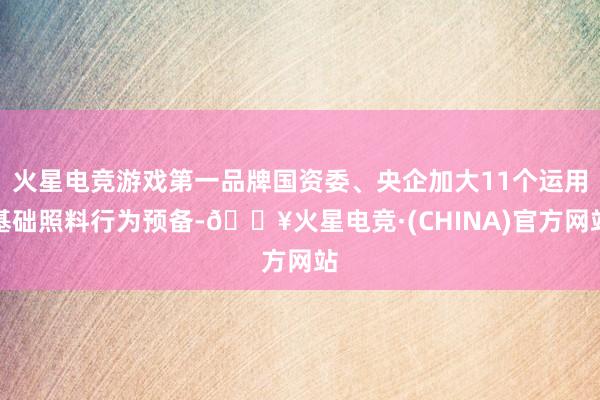 火星电竞游戏第一品牌国资委、央企加大11个运用基础照料行为预备-🔥火星电竞·(CHINA)官方网站